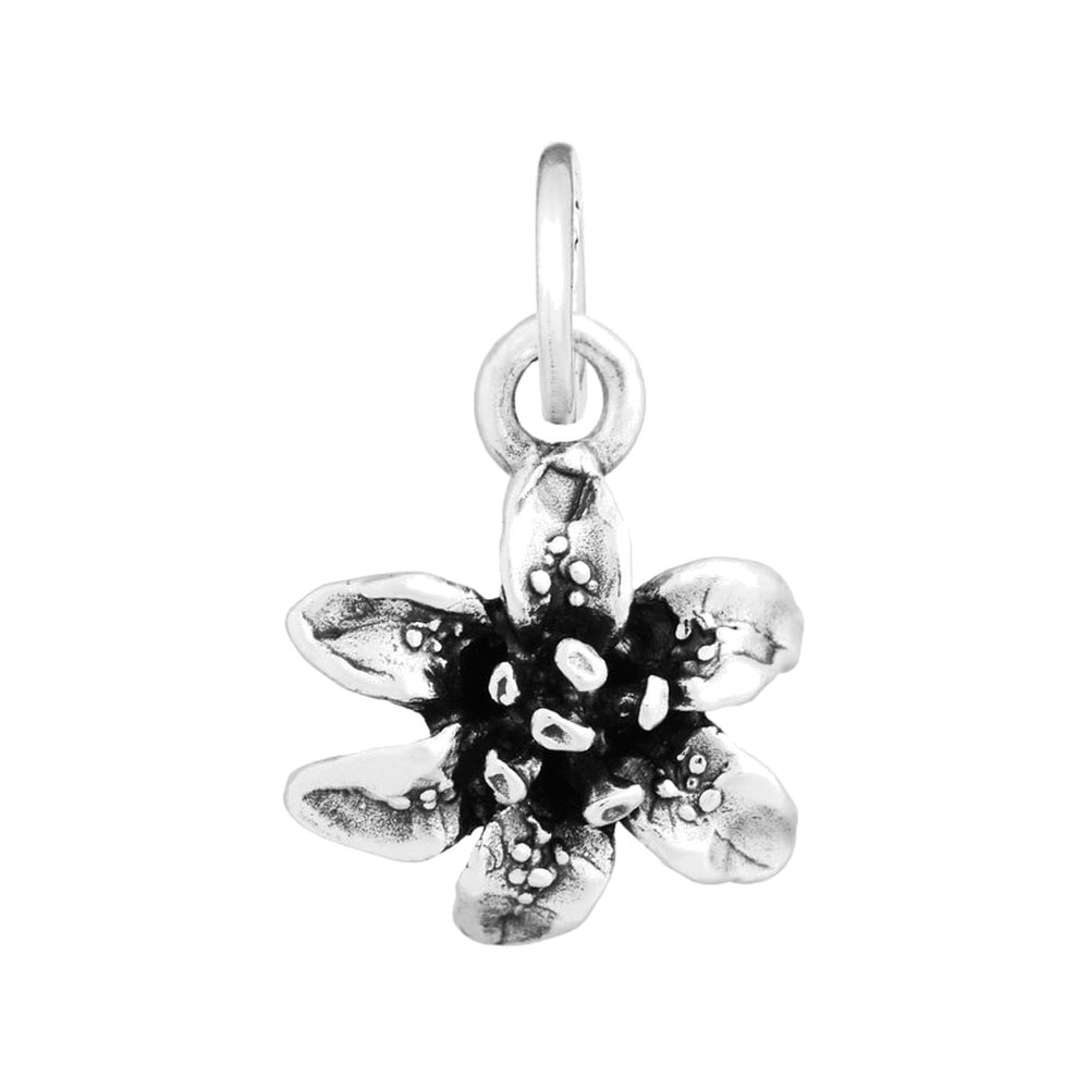 Charm Giovanni Raspini Giglio Piccolo