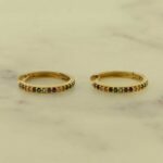 Rainbow Cleo Hoop Earrings