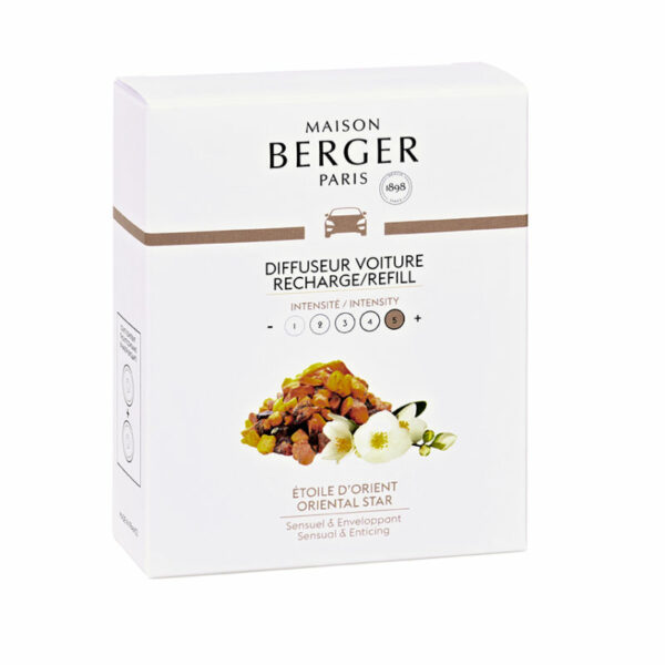 Lampe Berger Ocean Wind Car Diffuser Refill